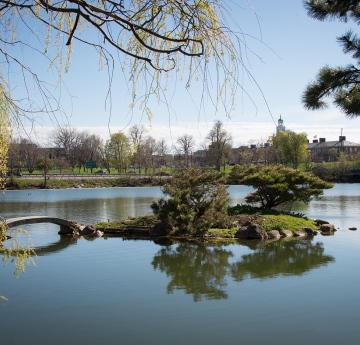 Japanese garden outside Buffalo History Museum near Buffalo State.
