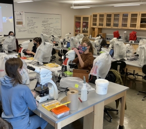 Students conduct research at Buffalo State's Microscopy Lab
